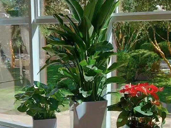 城市园林绿化养护管理考核标准