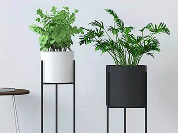 绿化日常服务规范