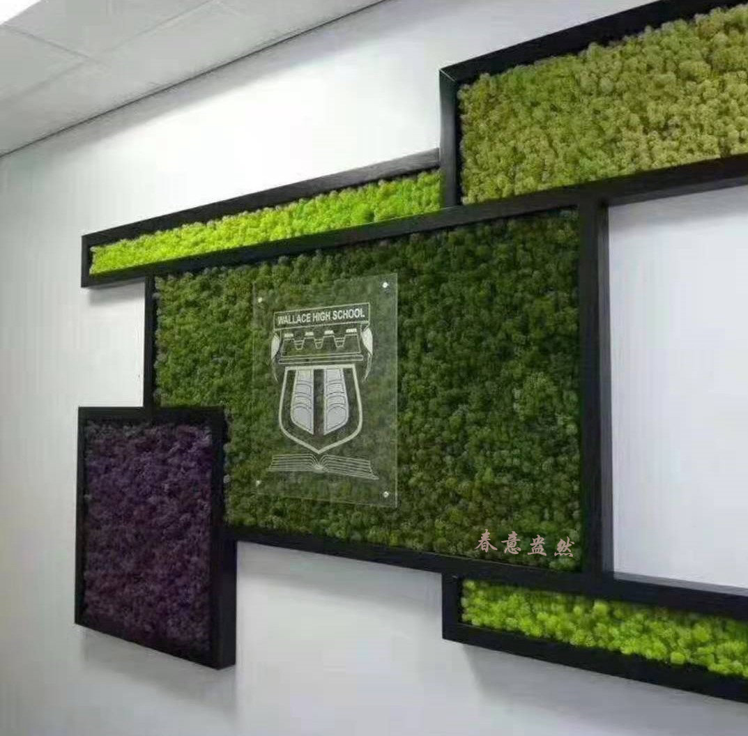 绿植墙